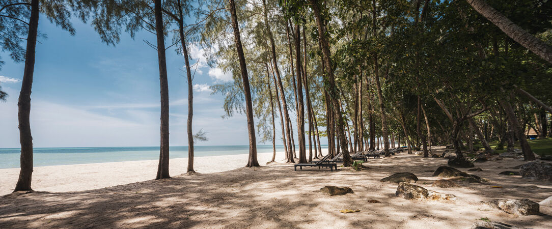 Avani Plus Khao Lak Resort ★★★★★ - Zénitude entre mer cristalline & nature exotique depuis cette adresse de rêve. - Khao Lak, Thailand