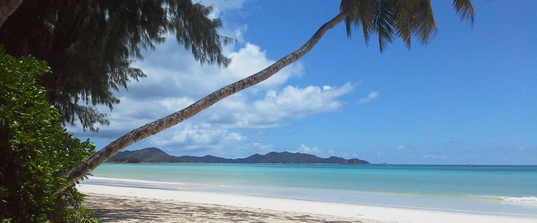 Hotel Cote d'or Lodge ★★★★ - Quintessence de nature & d’exotisme depuis l’île Praslin. - Praslin, Seychelles