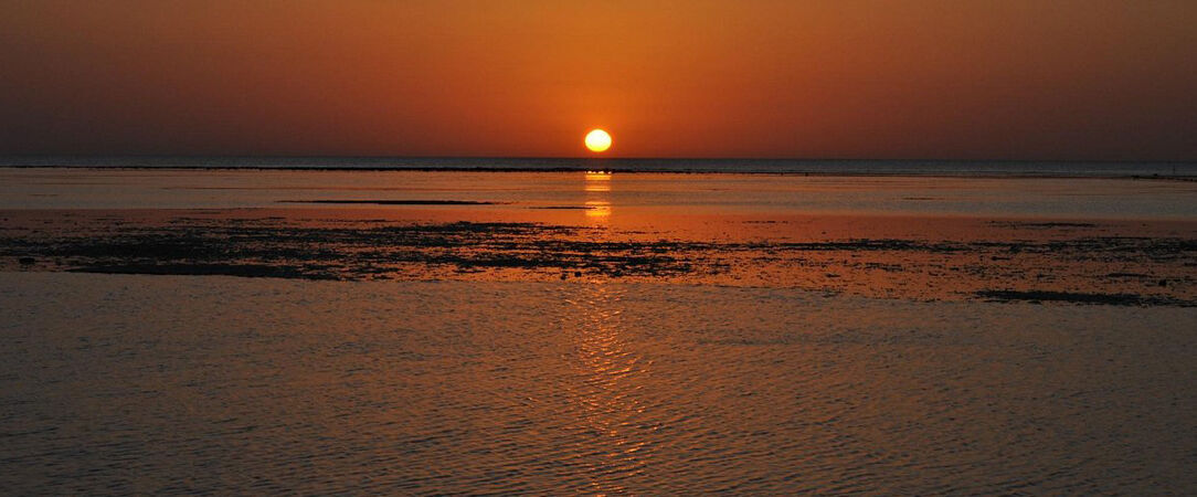 Shoni Bay Resort ★★★★ - Sun, fun, and comfort by the shores of the Red Sea. - Marsa Alam, Egypt
