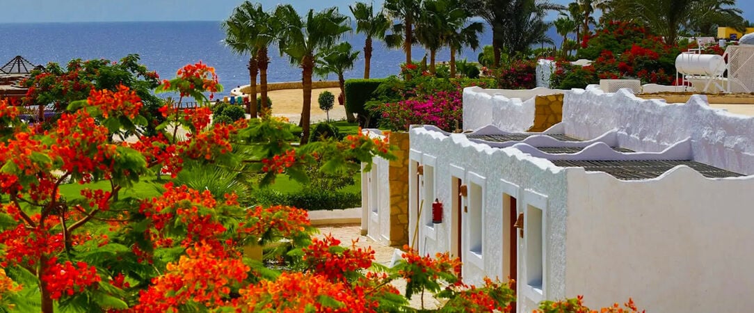 Sharm Club Beach Resort ★★★★ - Wonderful & tranquil stay by the golden shores of the Red Sea. - Sharm El-Sheikh, Egypt