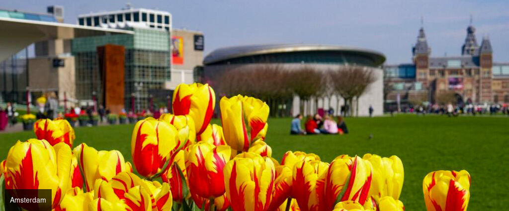 Hotel van de Vijsel ★★★★ - Une délicieuse escapade au cœur d’Amsterdam entre passé & présent. - Amsterdam, Netherlands