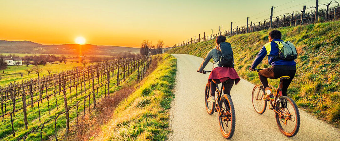 Leinsweiler Hof ★★★★ - Cosy & relaxing stay in the heart of the Rhine Valley. - Leinsweiler, Germany