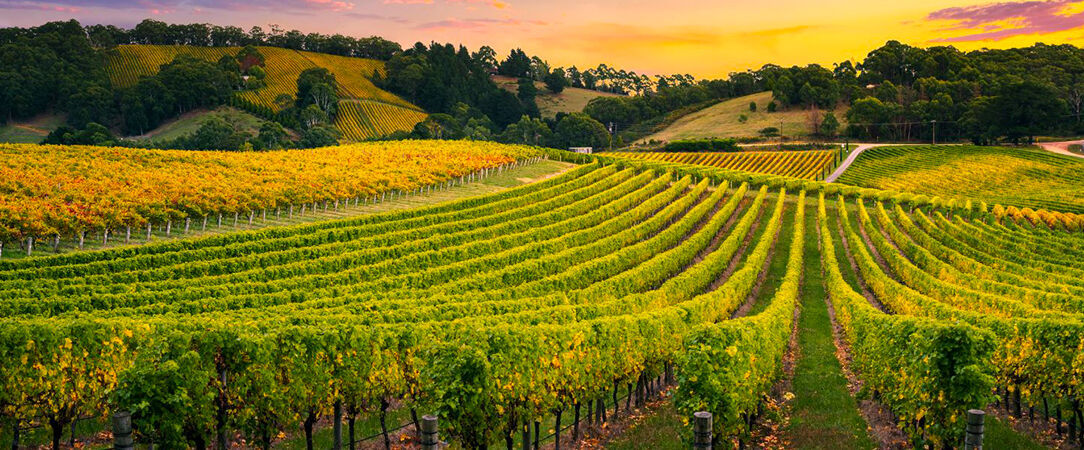 Leinsweiler Hof ★★★★ - Cosy & relaxing stay in the heart of the Rhine Valley. - Leinsweiler, Germany