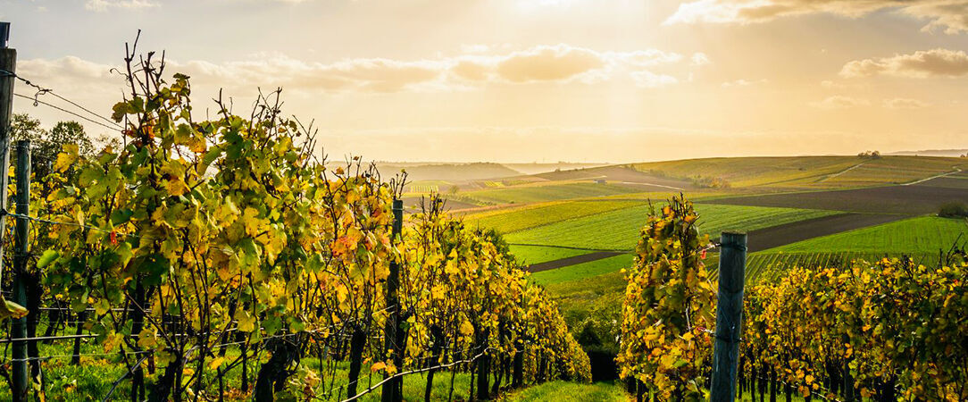 Leinsweiler Hof ★★★★ - Cosy & relaxing stay in the heart of the Rhine Valley. - Leinsweiler, Germany