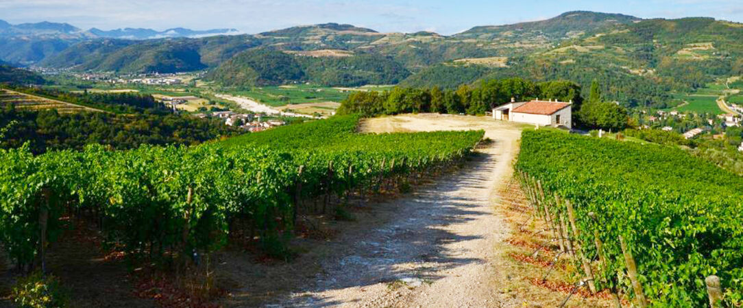 Tenuta Le Cave ★★★★ - Dreamy escape to charming rural Italian hotel and vineyard. - Verona, Italy