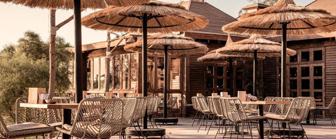 Cook's Club El Gouna - Adults Only ★★★★ - From lagoon delights to desert heights, find your paradise in El Gouna. - Hurghada, Egypt