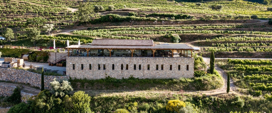 Domaine de la Font des Pères - Chambres avec vue sur les vignes dans le sud de la France. - Var, France