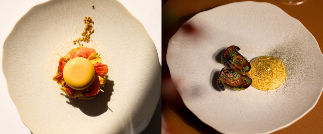 Le Château Les Oliviers de Salettes ★★★★ - La semaine des Chefs étoilés : les Chefs Kévin Vaubourg et Lucille Routin vous invitent ! - Drôme, France