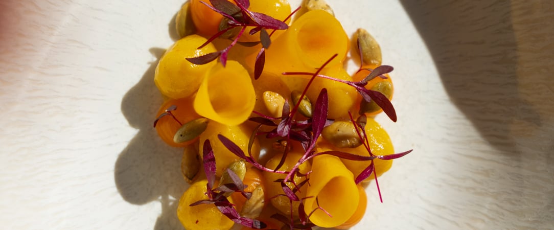 Le Château Les Oliviers de Salettes ★★★★ - La semaine des Chefs étoilés : les Chef Kevin Vaubourg Lucille Routin vous invitent ! - Drôme, France