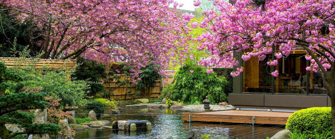 Hotel Okura Amsterdam ★★★★★ - Quand le raffinement japonais rencontre l’élégance néerlandaise, au cœur d’Amsterdam. - Amsterdam, Pays-Bas