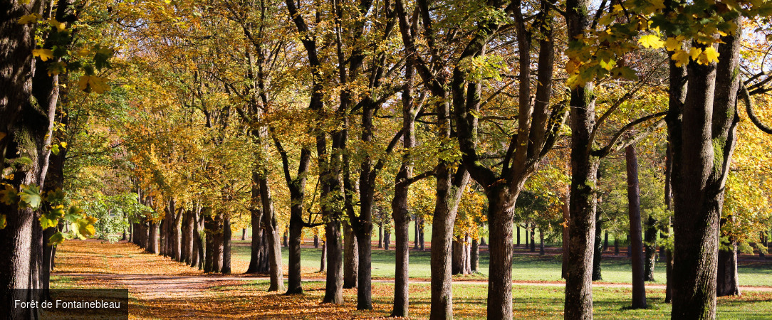 Château d'Augerville Golf & Spa ★★★★★ - Live your own French fairytale in a historical castle just outside Paris... - Loiret, France