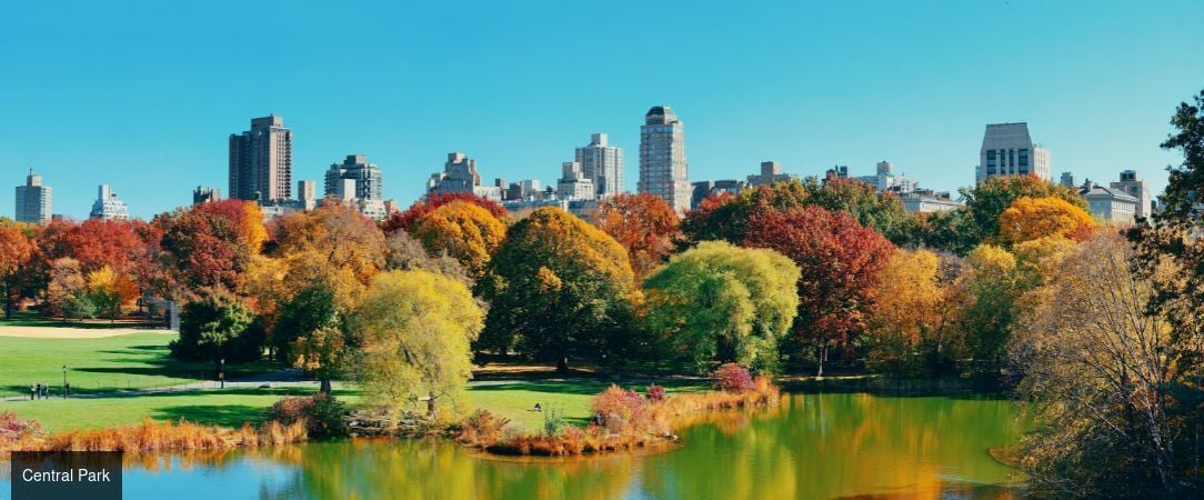 Hotel Belleclaire Central Park ★★★★ - Séjour confort dans un bâtiment emblématique de l’Upper West Side. - New York, États-Unis