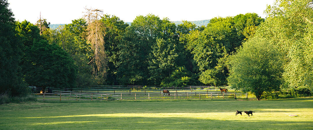 Domaine De Maffliers - Demeures De Campagne ★★★★ - En toute saison, un domaine des plus charmants vous accueille pour un séjour reposant. - Val-d'Oise, France