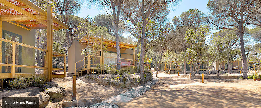 Wecamp Santa Cristina - Where nature meets comfort – your dream escape starts here! - Costa Brava, Spain