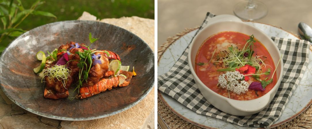 Hostellerie du Moulin des Oliviers ★★★★★ - Paradis secret au cœur du maquis Corse. - Corse, France