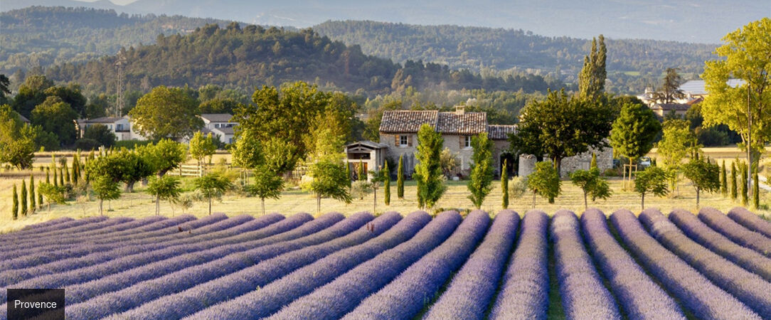 Le Pré Gallofre - A French country home set in pretty Provencal gardens. - Nîmes, France