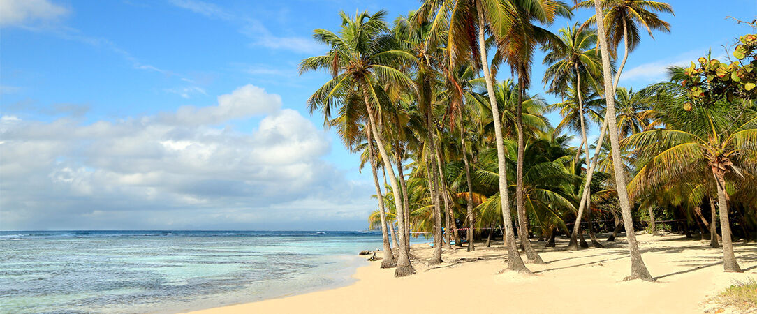 Résidence de tourisme Domaine Saint-François ★★★★ - Des charmants bungalows tout équipés dans un vaste jardin tropical en Guadeloupe. - Saint-François, Guadeloupe