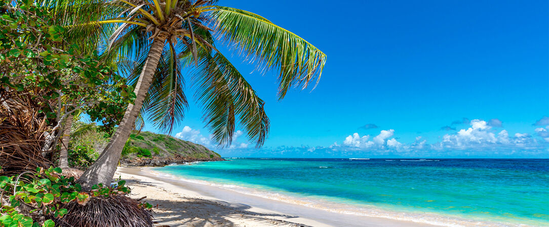 Résidence de tourisme Domaine Saint-François ★★★★ - Des charmants bungalows tout équipés dans un vaste jardin tropical en Guadeloupe. - Saint-François, Guadeloupe