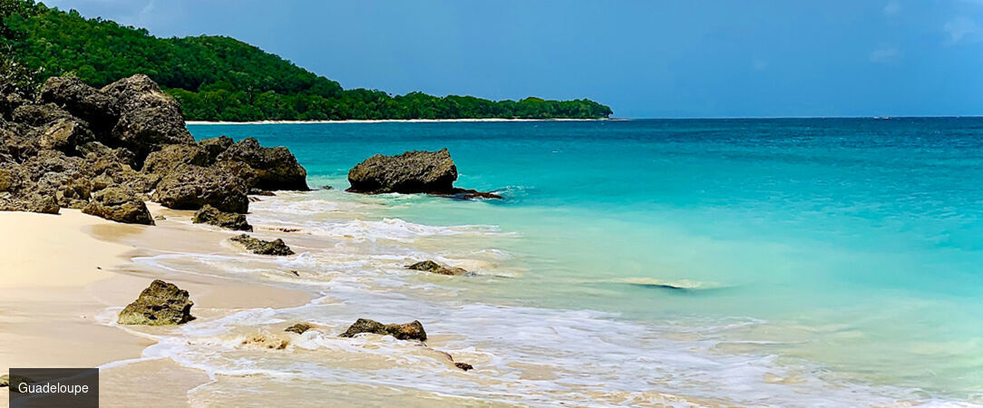 Residence Vue Mer ★★★★ - Profitez de vacances familiales en Guadeloupe dans des suites avec vue sur la mer. - Guadeloupe, France