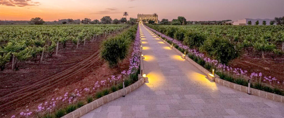 Tenuta Rocci Cerasoli ★★★★ - Where Salento's charm meets luxury, indulge in your dream escape. - Puglia, Italy