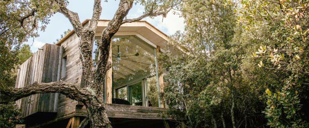 Domaine de Casanghjulina - Un cadre naturel enchanteur pour déconnecter sous le soleil corse. - Corse, France