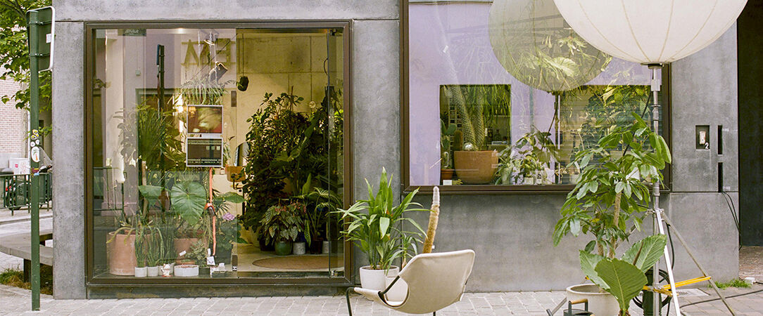Teddy Picker Bruxelles - City-break responsable, design & artistique au cœur de Bruxelles. - Bruxelles, Belgique