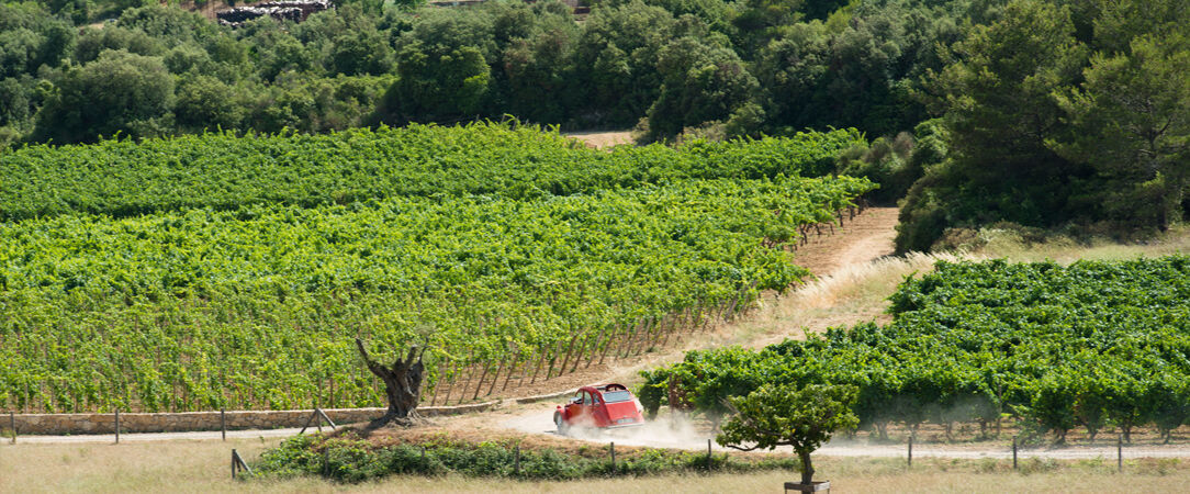 Château & Village Castigno - Wine Hotel & Resort ★★★★★ - Authentic French charm in the Languedoc countryside. - Herault, France