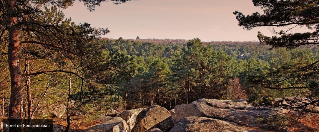 Hôtel de Cavoye ★★★★ - Offrez-vous une parenthèse romantique à Fontainebleau, dans une demeure de charme du XVIIᵉ siècle voisine du château, avec petits-déjeuners offerts. - Fontainebleau, France
