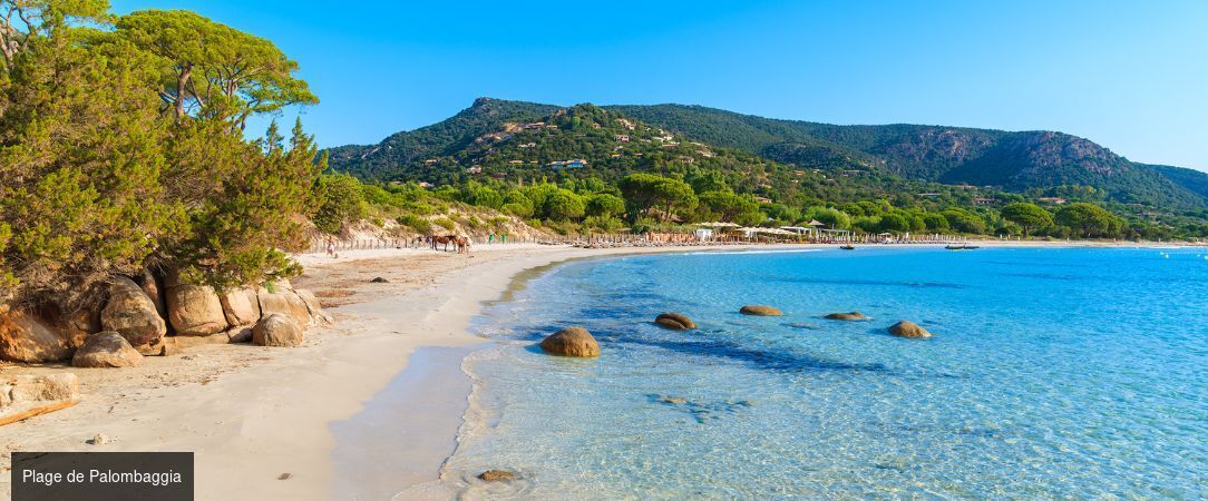 Roc e Fiori Hôtel ★★★★ - Un hôtel de charme entre terre & mer. - Corse, France