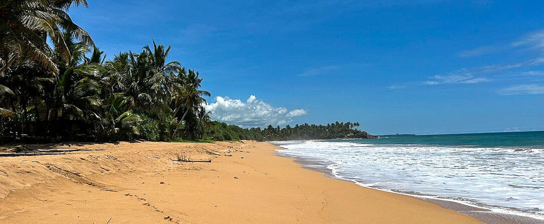 The Rockwall Boutique Hotel - Intimate, idyllic beachfront escape in Southern Sri Lanka. - Bentota, Sri-Lanka