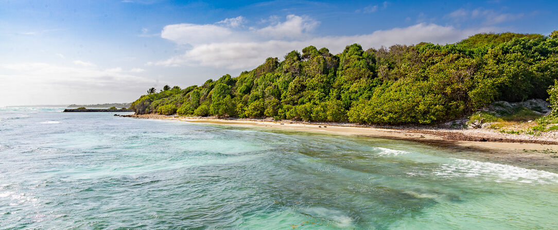 Village Pierre & Vacances - Sainte-Anne Guadeloupe - Océan et pieds dans le sable : voyage caribéen dans l’exotique guadeloupéen. - Guadeloupe, France