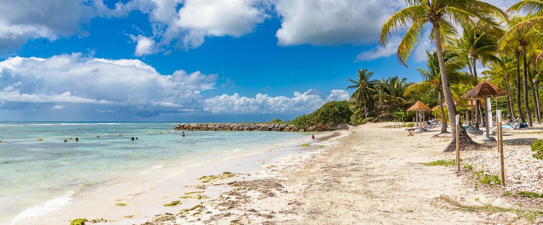 Village Pierre & Vacances - Sainte-Anne Guadeloupe - Océan et pieds dans le sable : voyage caribéen dans l’exotique guadeloupéen. - Guadeloupe, France