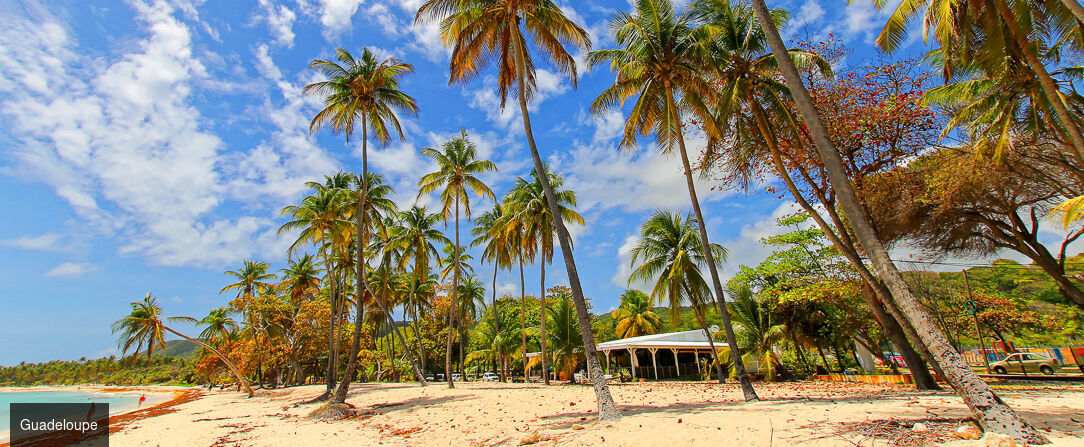 Les Galets Rouges Lodges & Spa ★★★★ - Une adresse confortable en Guadeloupe : découvrez la face cachée de l’île Papillon. - Guadeloupe, France