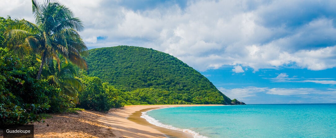 TropicAngel ECOLODGE de Charme - Lodge paradisiaque lové dans un écrin de nature luxuriante sur la Basse Terre de Guadeloupe. - Guadeloupe, France