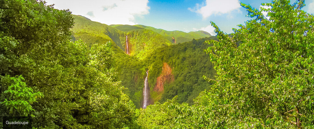 TropicAngel ECOLODGE de Charme - Lodge paradisiaque lové dans un écrin de nature luxuriante sur la Basse Terre de Guadeloupe. - Guadeloupe, France