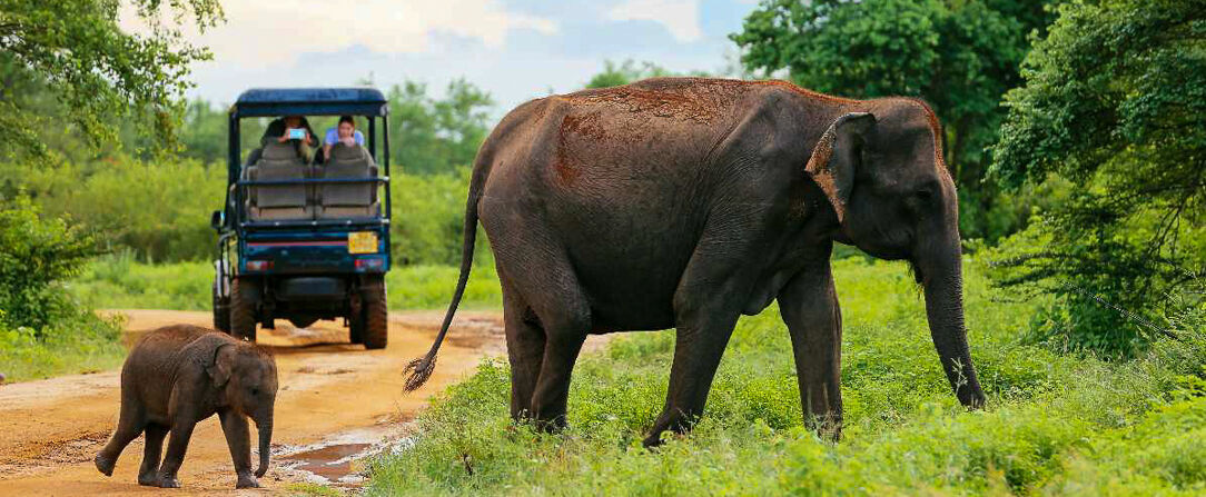 Cinnamon Bey Beruwala ★★★★★ - Sri Lanka : votre pied-à-terre idéal pour séjourner sur l’île d’émeraude ! - Bentota, Sri Lanka