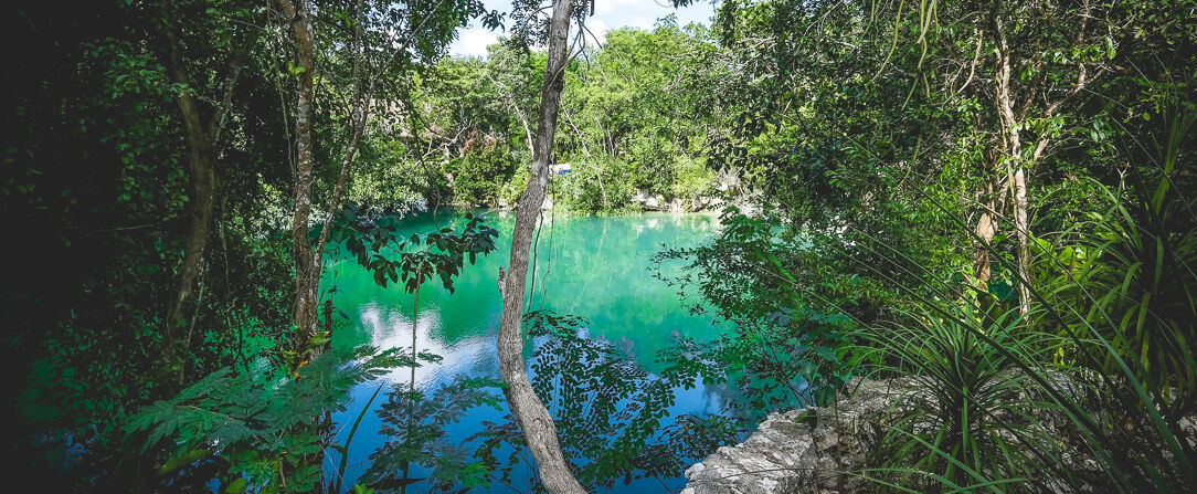 Wakax Hacienda - Cenote & Boutique Hotel ★★★★ - Luxe, déconnexion, cenotes et nature exubérante, une hacienda de rêve au cœur du Yucatan. - Tulum, Mexique