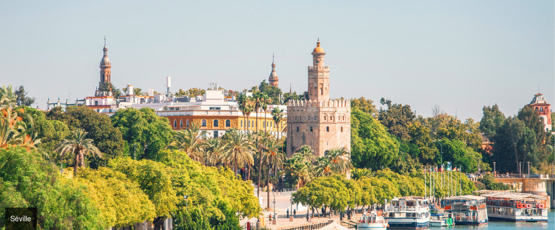 Basic Hotel Sevilla Catedral - Point de chute dans le quartier historique, à deux pas de la Giralda. - Séville, Espagne