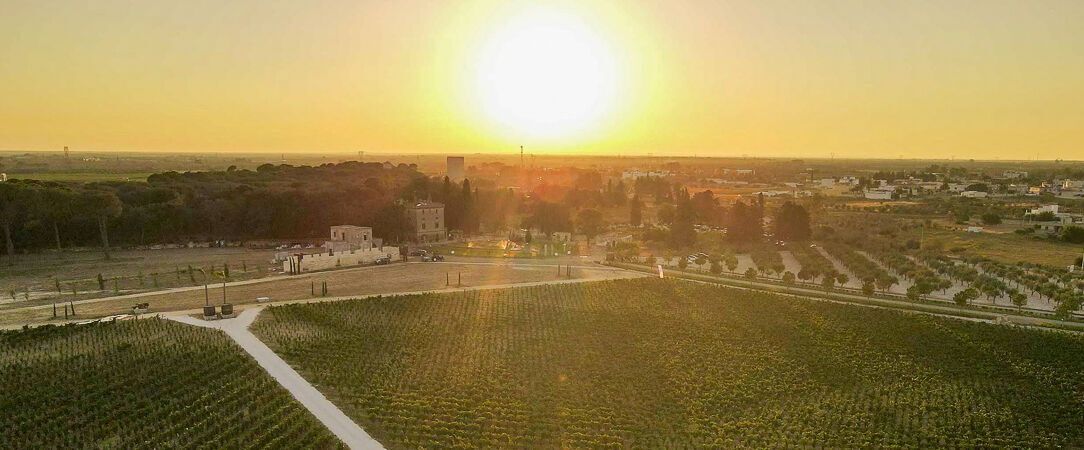 Villa Neviera Wine Resort & Spa - Relaxation and comfort in authentic Puglia. - Puglia, Italy