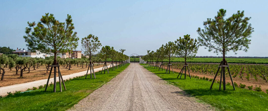 Villa Neviera Wine Resort & Spa - Expérience œno-sensorielle, bien-être, luxe et raffinement d’une noble bâtisse dans les Pouilles. - Les Pouilles, Italie