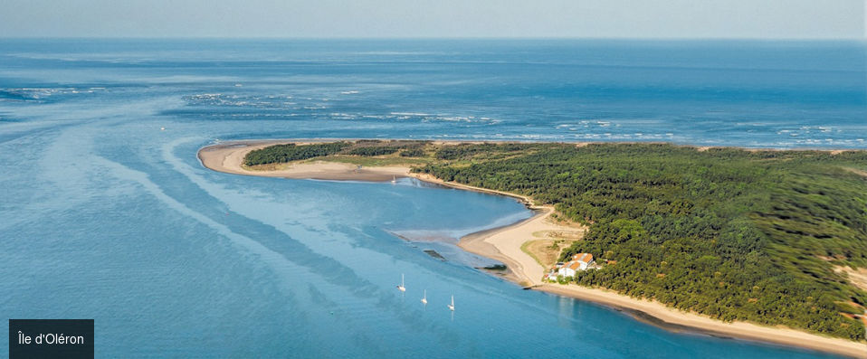 Hôtel L'Albatros - Adresse intimiste, parenthèse de douceur en bord de mer sur l’île d’Oléron. - Île d'Oléron, France