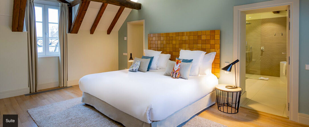 Hôtel de Cavoye ★★★★ - Dernière minute -  - Fontainebleau, France