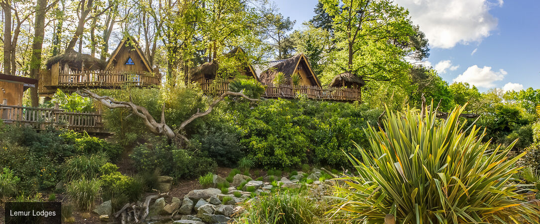 Safari Lodge & Suite - A luxury safari lodge in the Loire - La Flèche, France