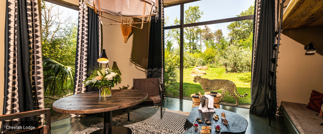 Safari Lodge & Suite - A luxury safari lodge in the Loire - La Flèche, France