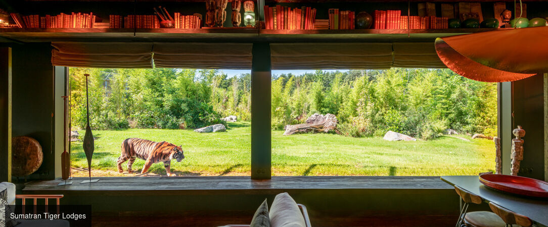 Safari Lodge & Suite - A luxury safari lodge in the Loire - La Flèche, France