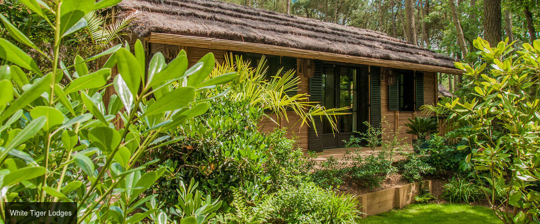 Safari Lodge & Suite - A luxury safari lodge in the Loire - La Flèche, France