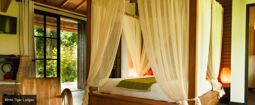 Safari Lodge & Suite - A luxury safari lodge in the Loire - La Flèche, France
