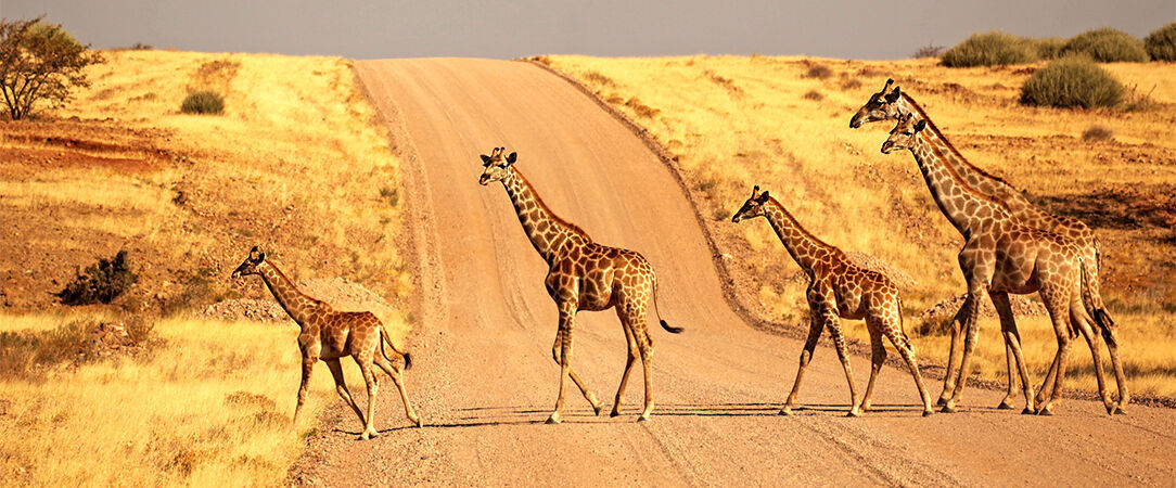 Our Habitas Namibia -  - Namibia