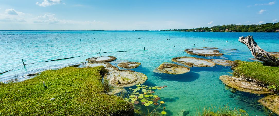 Our Habitas Bacalar ★★★★★ - Adults Only - A breathtaking retreat between the lagoon and jungle. - Bacalar, Mexico