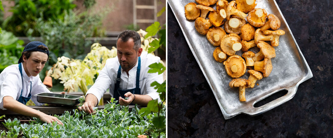 Le Jardin des Plumes - La semaine des Chefs étoilés : le Chef David Gallienne vous invite ! - Giverny, France